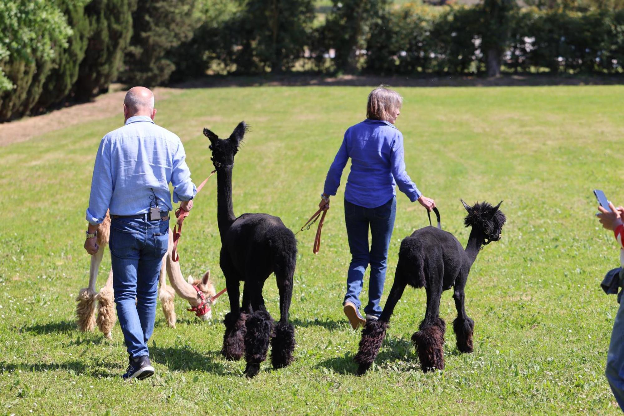 Fattoria Casabianca Villa Bucine Bagian luar foto